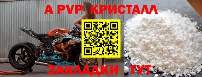 ешки Гай