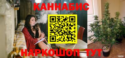 бошки Гатчина